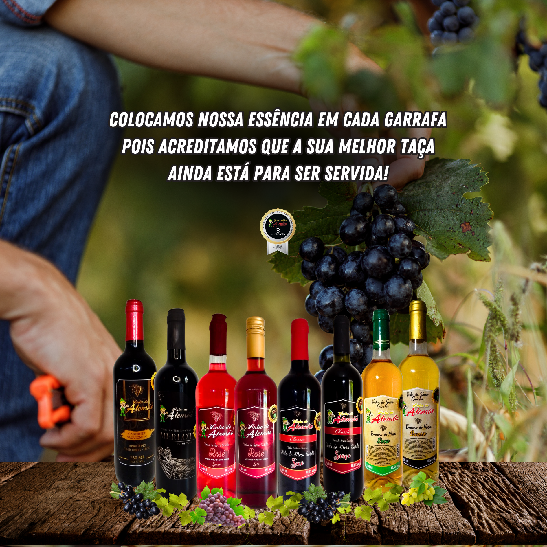 banner vinho site mobile (1)